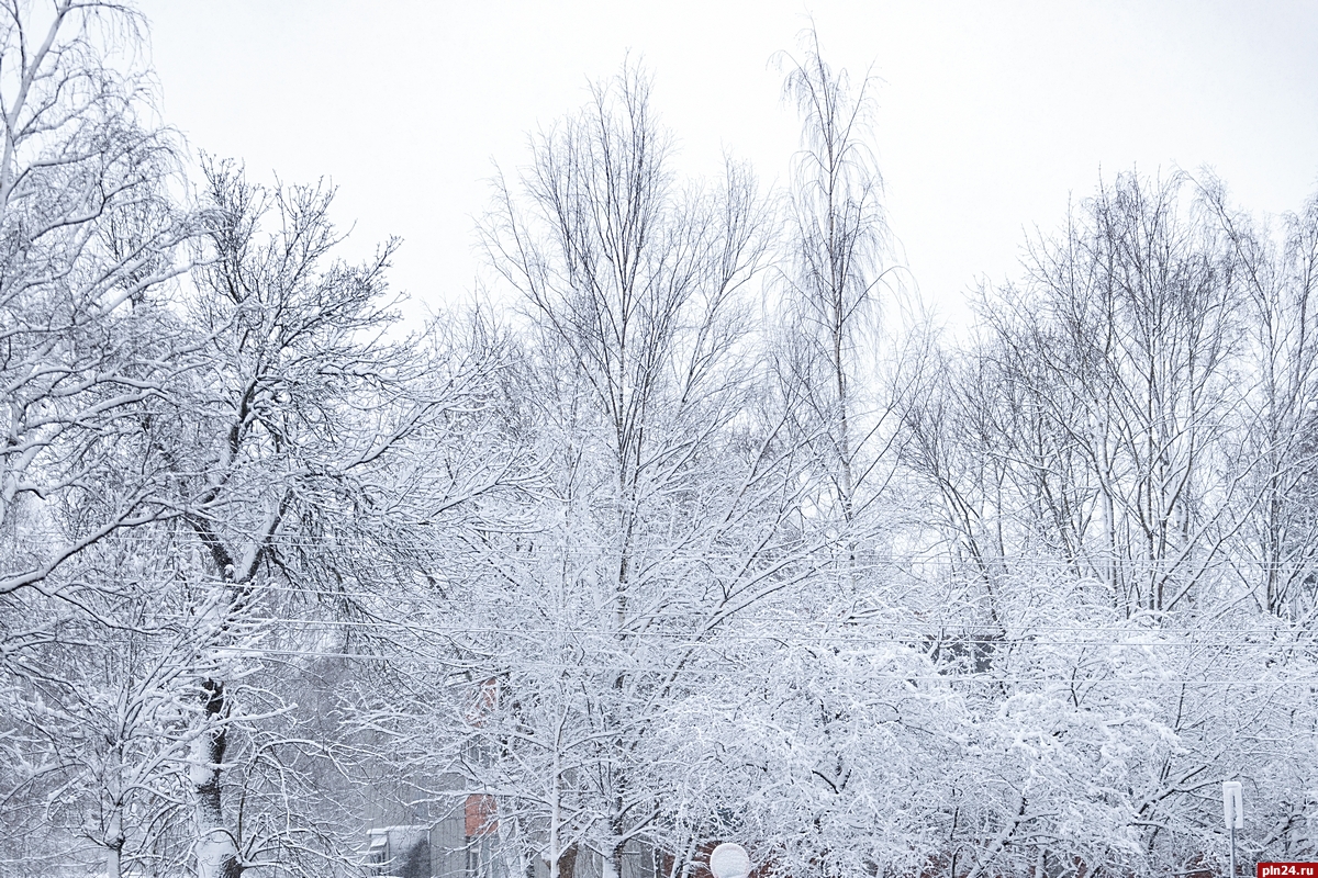 Погода зиме иркутской области на 10 дней. Погода зимой. Зимняя погода. Погода зимой фото. Зимняя погода февраль.