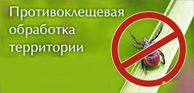 Внимание: обработка стадиона от клещей