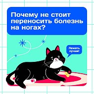 Актуально: болеть или работать?