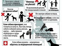 Безопасность при встрече с собаками