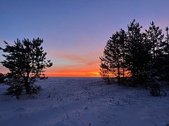 Наша природа в объективе юных экологов!