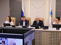 Развитие районов Саратовской области депутаты и эксперты связывают с привлечением инвесторов и сохранением кадров