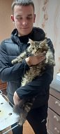 Продолжается вакцинация животных против бешенства