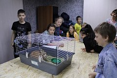 Юные саратовцы включились в «Марафон зеленых дел»  