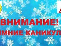 ВНИМАНИЕ: Сотрудники Госавтоинспекции проведут профилактическое мероприятие «Внимание, зимние каникулы!»