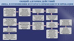  «Пробация в Российской Федерации»
