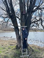 В заказнике «Центральный» разместили сделанные школьниками скворечники