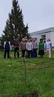 Новобурасский район принял участие во Всероссийском субботнике: "Марафон чистоты"