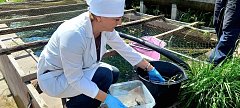 Благоприятные условия для рыбоводства 