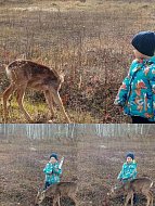 Новобурасский район присоединился к Всероссийской акции: «Россия – семья семей»