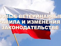 Пора профилактических и диагностических мероприятий