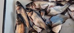 При межхозяйственных перевозках необходимо оформить сопроводительные документы