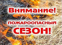 В Саратовской области со 2 апреля официально начинается пожароопасный сезон 2026 года 