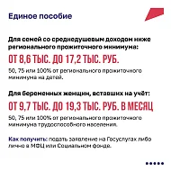 Маткапитал, пособия, меры поддержки беременных женщин — эти и другие выплаты доступны по нацпроекту «Семья»