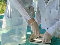 В Новобурасском районе созданы благоприятные условия для рыбоводства