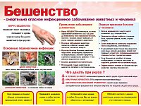 Балаковец обратился к медикам после укуса ежа