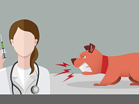 ВНИМАНИЕ: БЕШЕНСТВО