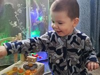 Акция "Елка желаний"