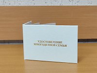 Документы старого образца будут действительны до 1 января 2026 года