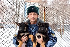 Саратовские щенки поедут служить в Херсонскую область и ДНР