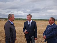 ️ Саратовская область лидирует по валовому сбору зерна в Приволжском федеральном округе. 