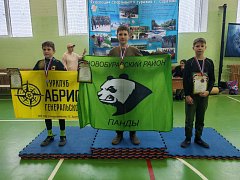 «Ноябрьские чижики-2025»