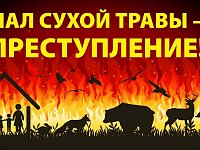 Опасность пала сухой травы