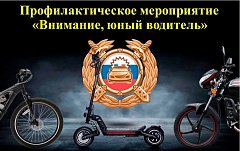 Профилактическое мероприятие «Внимание, юный водитель»