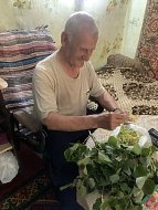 Акция " Зелёная аптека "