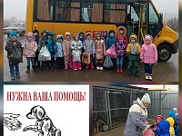 Подарили тепло и заботу тем, кто так в этом нуждается