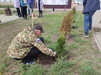 В Новобурасском районе продолжается акция "Сады Памяти"