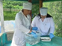 Благоприятные условия для рыбоводства 