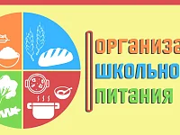 Организация школьного питания
