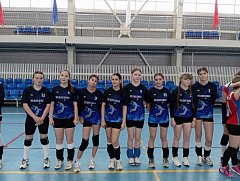  Показали достойный уровень игры