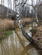 Жила - была речка…