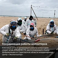 Более 100 саратовцев приняли участие в ликвидации последствий разлива нефтепродуктов в Черном море