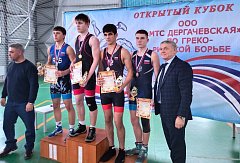 Молодцы, борцы!