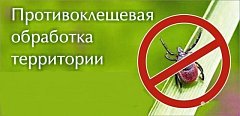 Внимание: обработка стадиона от клещей