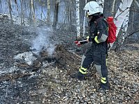 Лесопожарная обстановка у села Лох стабилизирована   