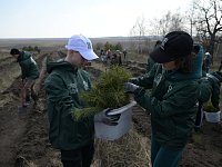 В Саратовской области прошла акция по лесовосстановлению