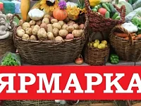 25 октября приглашаем на ярмарку!