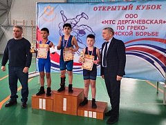 Молодцы, борцы!