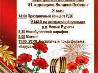 Мероприятия, посвященные 81-й годовщине Великой Победы
