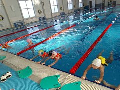 Первые соревнования по плаванию