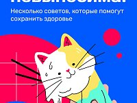 Как пережить жару и сохранить здоровье?