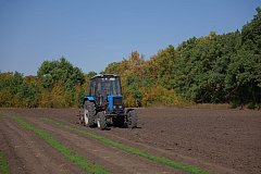 ️ Саратовские лесхозы ведут подготовку к предстоящей высадке деревьев на территории Саратовской области