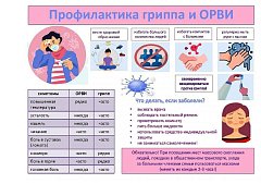 Управление Роспотребнадзора по Саратовской области информирует