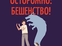 Осторожно: бешенство!