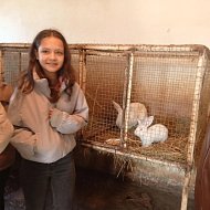 Приоткрыли завесу профессии ветеринара