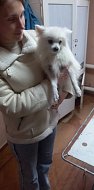 Продолжается вакцинация животных против бешенства